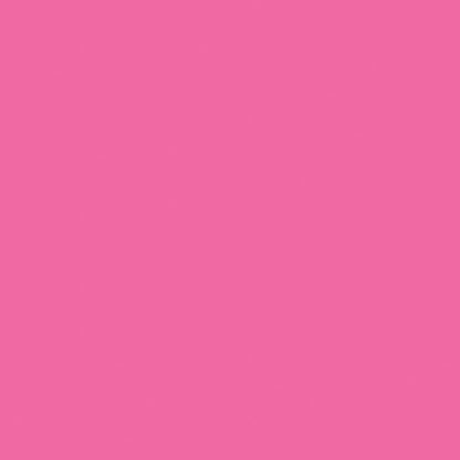 Low Rise Drawstring Pant